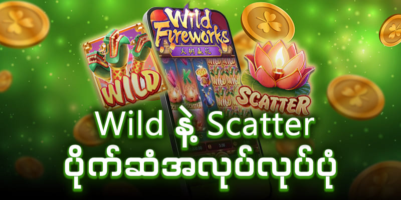 Wild နဲ့ Scatter